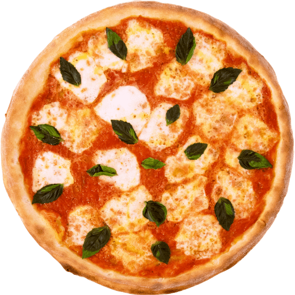 New Mix Pizza